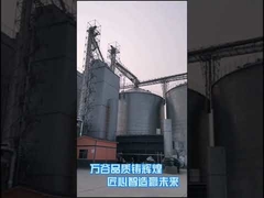 500T/Dトウモロコシの乾燥装置の熱い送風暖房の農業のより乾燥した機械