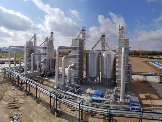 Continuous Grain Drying Tower100-1500 Ton/Day Low Temp Dryer for Paddy Corn Wheat